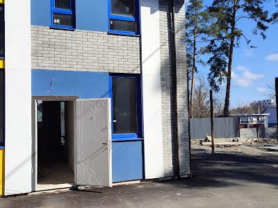 будинок за адресою Виговського вул. (Суворова), 24Б/11
