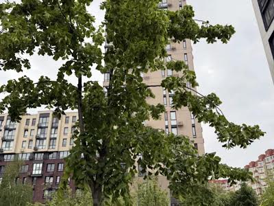 квартира за адресою Салютна вул., 2