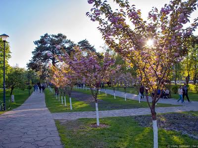 квартира по адресу Кіото ул., 3