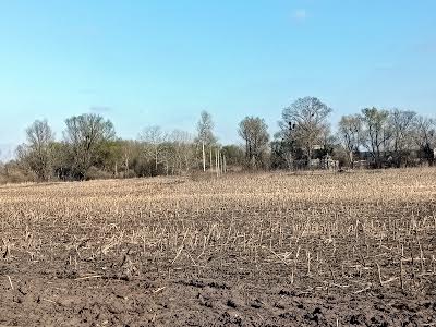 ділянка за адресою Козацька