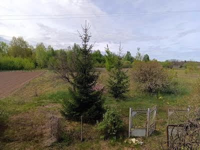 дом по адресу Соснова, 376