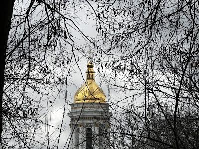 квартира по адресу Михаила Омеляновича-Павленко ул. (Суворова), 11
