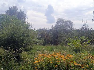 будинок за адресою с. Миколаївка, Лісна