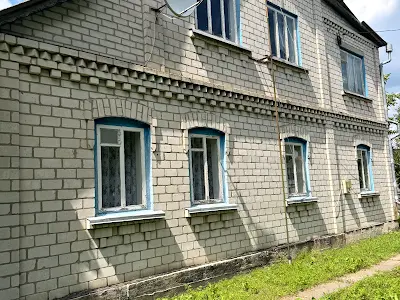 будинок за адресою смт. Велика Димерка, Печерська вул.