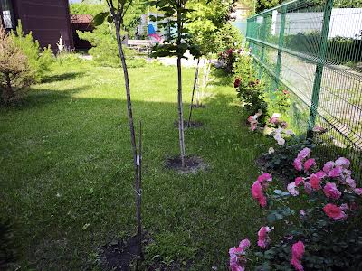 квартира за адресою Лук'янівська вул., 21-Б