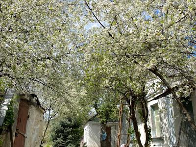 участок по адресу провулок Садовий, 1