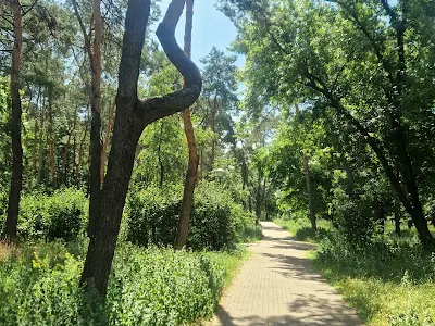 квартира за адресою Воскресенська вул., 2-В