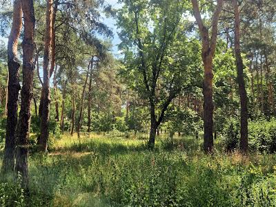 квартира за адресою Воскресенська вул., 2-В