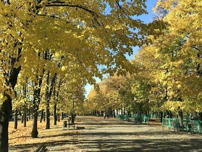 квартира за адресою Садовопаркова вул., 2