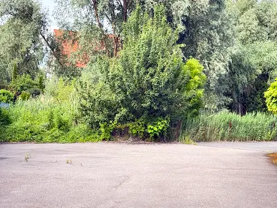 ділянка за адресою смт. Козин, 