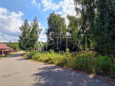 ділянка за адресою Вербицького, 1