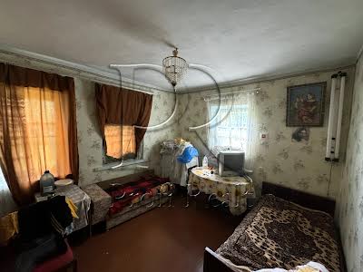 будинок за адресою с. Літки, Каштанова вулиця, 1