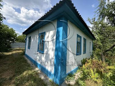 будинок за адресою с. Літки, Каштанова вулиця, 1