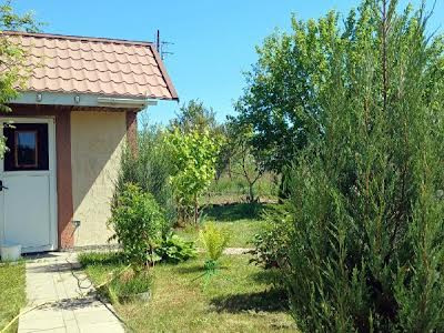 будинок за адресою с. Велика Олександрівка, Озерна
