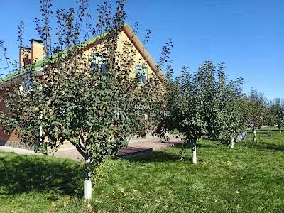 будинок за адресою с. Старі Безрадичі, Березова-стугна