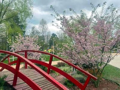 квартира по адресу Воскресенская ул., 14-Д