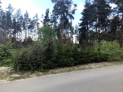 ділянка за адресою Петра Сагайдачного, 50