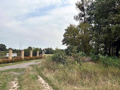 участок по адресу с. Озера, Шевченка