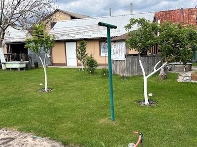 будинок за адресою смт. Козин, Чиженка вул., 6