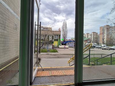 комерційна за адресою Сержа Лифаря вул. (Олександра Сабурова), 1
