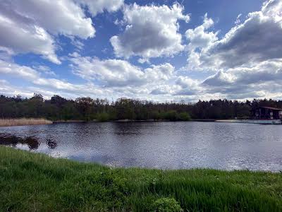 будинок за адресою Дніпровське шосе