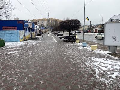 ділянка за адресою с. Петропавлівська борщагівка, Соборна вул. ()