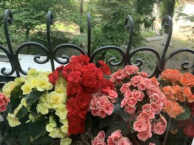 квартира за адресою Шовковична вул., 32/34