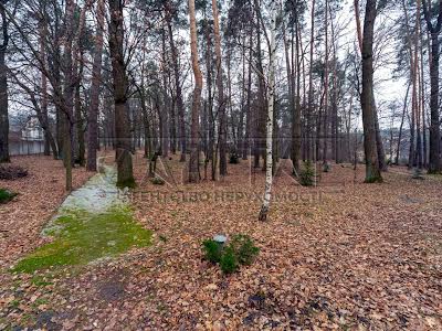 дом по адресу с. Дмитровка, Мичурина ул. (Мічуріна)