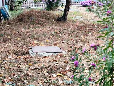 будинок за адресою смт. Високий, Зеленогайська, 40