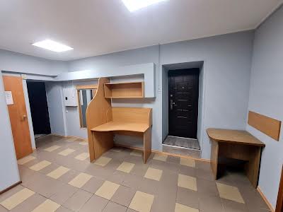 комерційна за адресою Панаса Мирного вул., 9б