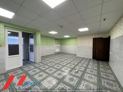 комерційна за адресою Бориса Гмирі вул., 10