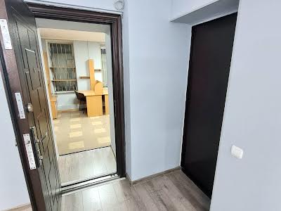 комерційна за адресою Панаса Мирного вул., 9б