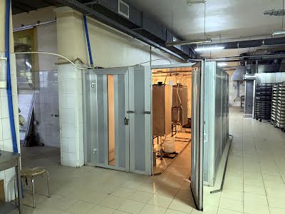 комерційна за адресою с. Мотижин, Василя Довгича вул., 2