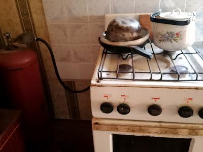 дом по адресу Березова, 25