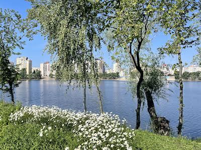 квартира за адресою Київ, Володимира Івасюка просп. (Героїв Сталінграду), 18-А