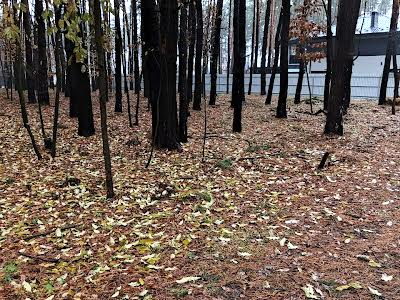 участок по адресу Лесной пер.