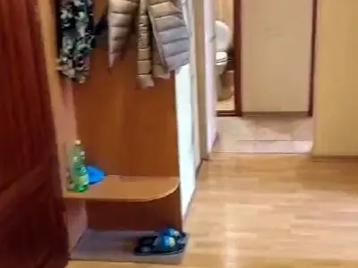 квартира за адресою Північна вул. (Північна), 54