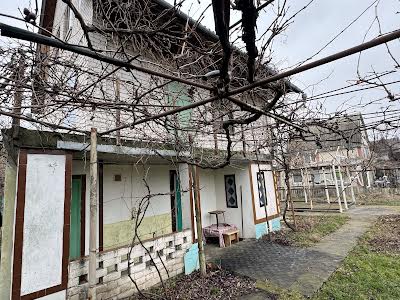 будинок за адресою Центральна вул.