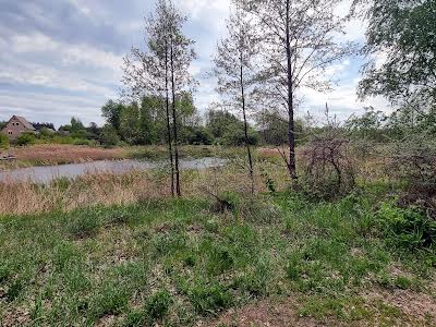 будинок за адресою с. Миколаївка, Садовая 3