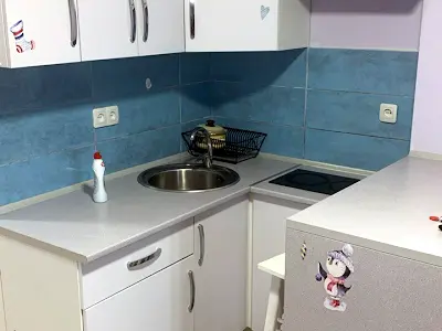 квартира за адресою с. Софіївська борщагівка, Академіка Шалімова вул., 65-А