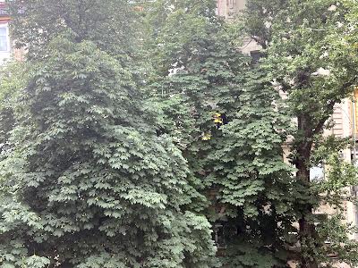 квартира по адресу Киев, Архитектора Городецкого ул., 12