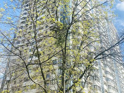 квартира по адресу Андрея Верхогляда ул. (Михайла Драгомирова), 2в