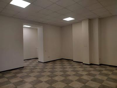 комерційна за адресою Дениса Рачінського вул. (Комбінатна), 25