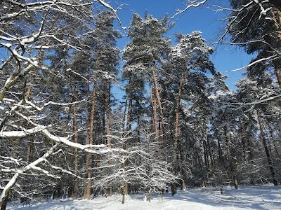 квартира по адресу Киев, Клавдиевская ул., 40Е