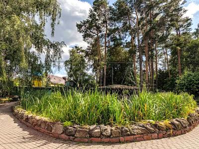 будинок за адресою Вишгородський