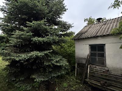 участок по адресу провулок Садовий, 1