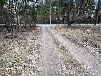 участок по адресу Провулок Садовий, 37