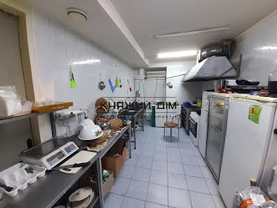 комерційна за адресою Гетьмана Кирила Розумовського вул. (Миколи Краснова), 17