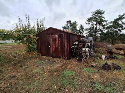 дом по адресу с. Пуховка, Центральна, 12