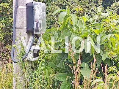участок по адресу Грушевського